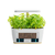 slomart extralink smart garden | inteligentna doniczka | wi-fi, bluetooth
