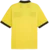 Dre Puma teamCLAIC Match Jerey