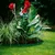 GARDENA Ograda za travnjak 15cm x 9m