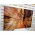 Slika steza v Grand Canyonu - 60x40