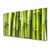 tulup.si Slika na steklu Bamboo rastlin narava 120x60 cm 2 obešalnika