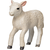 Moj Lamb romney teče