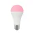 LED SIJALICA