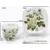 Porcelanasta skodelica White Rose 250 ml + darilo krožnik