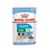 Royal Canin MINI PUPPY, vlažna hrana za pse 12x85g