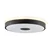 Brilliant - LED plafonsko svetlo TAVIS LED/24W/230V pr. 44,5 cm crna