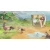 MICROIDS Igrica PS5 Asterix Maxi Collection - Platinum Edition