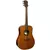 LAG T98D TRAMONTANE FOLK DREADNOUGHT NATURAL AKUSTIČNA GITARA