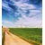Fototapeta magična pokrajina - 245x270