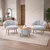 ATELIER DEL SOFA Fotelje i klub stočić Star Grey