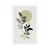 Plakat rastline v boho stilu - 20x30 no frame