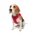 PAWS & WHISKERS Am za pse Air Mesh Garnet XS