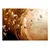 Fototapeta - Golden Path - 150x105