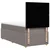 Vidaxl Box spring postelja z vzmetnico taupe 100x200 cm blago