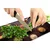 shumee Rezalna ploa steklene ploe 52x30 zaimb