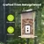 Birdfy Feeder Ebony Lite
