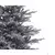 Novogodišnja jelka Frosted Grandis Fir 180cm