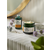 Vitamin C Glow Boosting Intense Moisturizer 50 ML