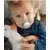 PHILIPS AVENT Varalica STHR Orthod 2/1 plavo-zelena