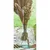 Chaks Pampas trava - Naravna 115 cm
