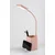 Rabalux Stona lampa Arvid, LED, 6W, 5000K, USB, v37cm, Roze
