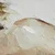 Slika 70x100 cm Charlotte – Styler