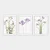 Wallity Uramljena slika 3BC_2613520_5575, 55x75 cm, 3 dela
