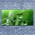 tulup.si Slika na platnu Grass dew drops 125x50 cm