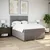 Vidaxl Box spring postelja z vzmetnico taupe 160x200 cm blago