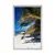 Plakat lepota plaže Anse Source - 60x90 no frame