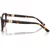 Dolce & Gabbana DG3398 502