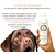 COAZON COAZON Pet Dental Formula