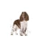 Royal Canin MEDIUM LIGHT WEIGHT CARE
