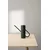 Zalivalka Stelton Bloom Flower
