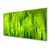 tulup.si Slika na steklu Green grass dew drops 100x50 cm 2 obešalnika