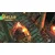 SWITCH Baldo: The Guardian Owls - Three Fairies Edition