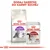 Royal Canin Cat Adult Sensible 33 2 KG