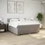 Vidaxl Box spring postelja z vzmetnico taupe 180x200 cm blago