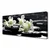 tulup.si Slika na platnu Stones orhidejo rastlin 120x60 cm