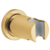 GROHE RAINSHOWER DRŽALO 27074000