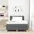 Vidaxl LED Box Spring Postelja Temno siva 120 x 200 cm blago
