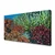tulup.si Slika na platnu Barrier reef narava 100x50 cm