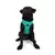 Paws & Whiskers Am za pse Air-Mesh, Svetloplavi