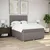 vidaXL Box spring postelja z vzmetnico taupe 160x200 cm blago