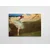 Wallity Slika WY301, 70x100 cm