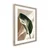 Tiskana slika z okvirjem 50x70 cm Strelizia Leaf – Styler