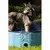 Coolpets Bazen za pse Splash - o 80 x 20 cm
