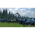 Farming Simulator 15 (Steam)