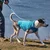 Kurgo Core pulover za pse Heather Blue S