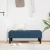klupa s jastukom Plava 113 x 57 x 39 cm tkanina